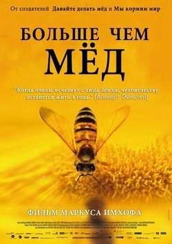 Фильм Больше чем мед (2012)